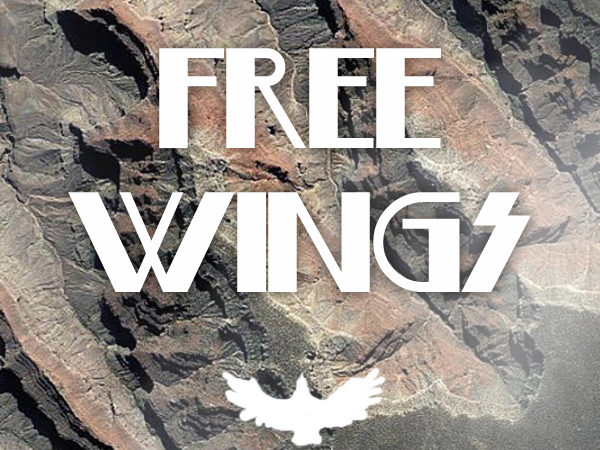 <span>Projet : Free Wings</span><i>→</i>